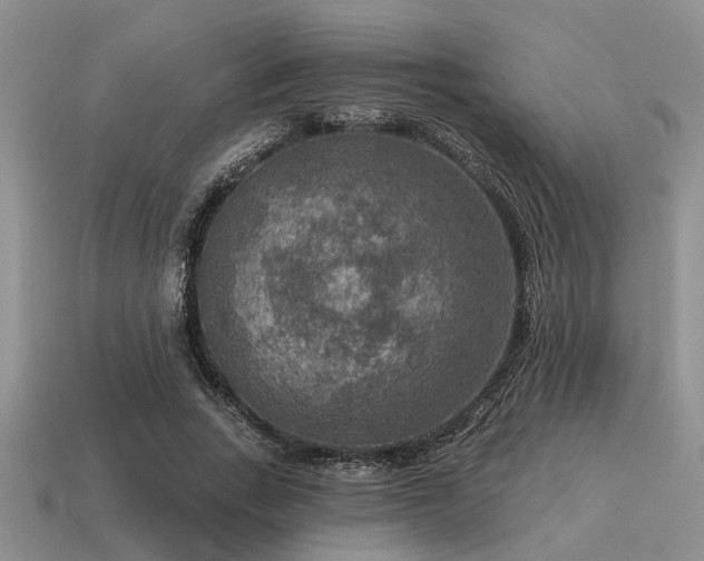 X0000115610735200911101427