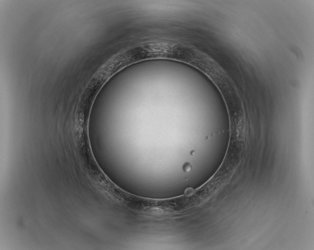 X0000115610737200911101427