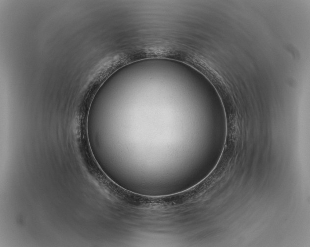 X0000115610738200911101427