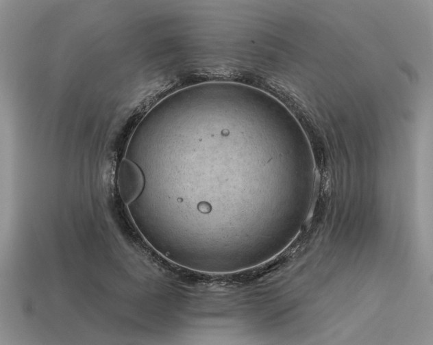 X0000115610739200911101427