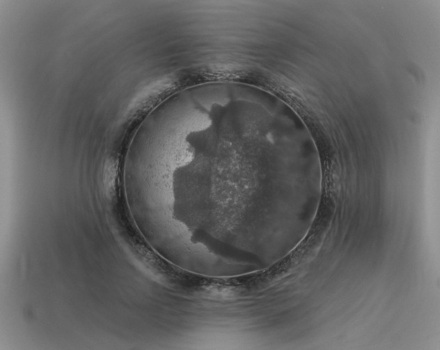 X0000115610742200911101427