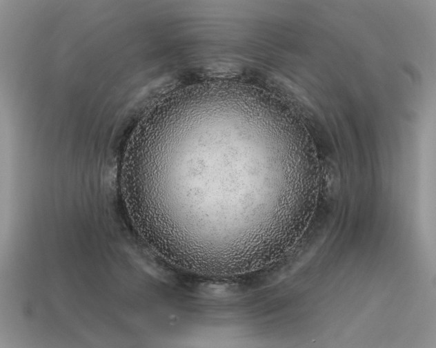 X0000115610745200911101427