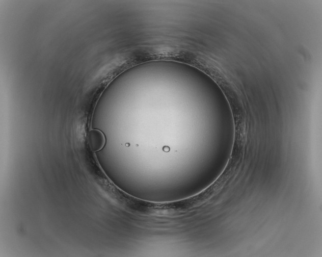 X0000115610746200911101427