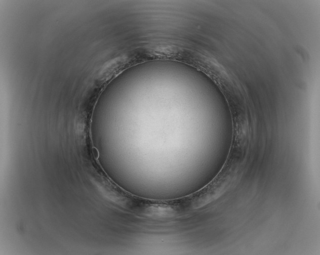 X0000115610749200911101427