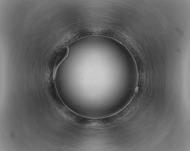 X0000115610750200911101427