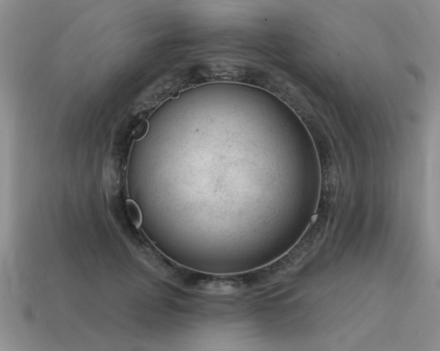 X0000115610751200911101427