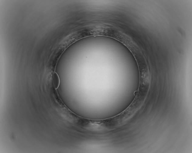 X0000115610753200911101427