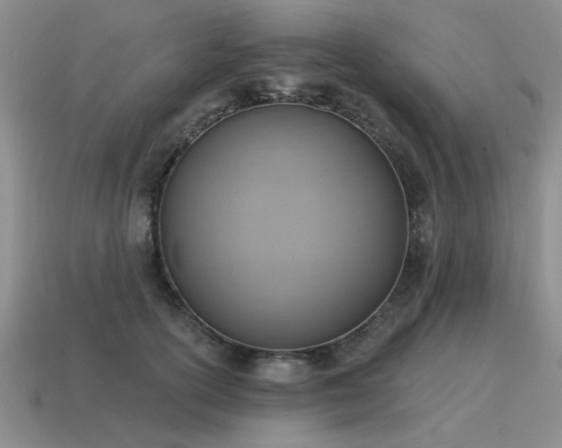 X0000115610754200911101427