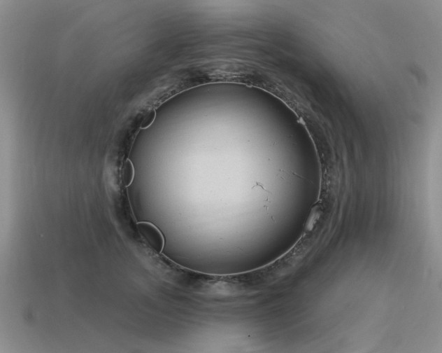 X0000115610755200911101427