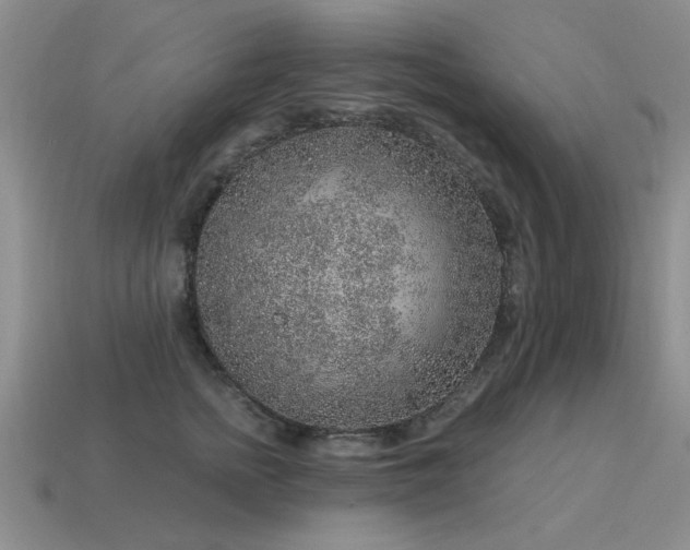 X0000115610758200911101427