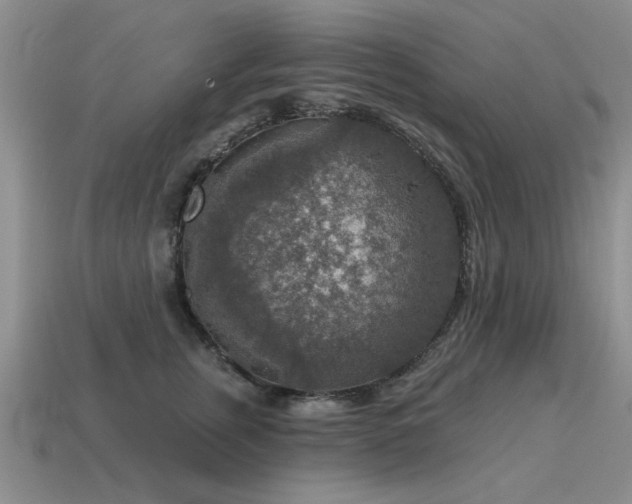 X0000115610759200911101427