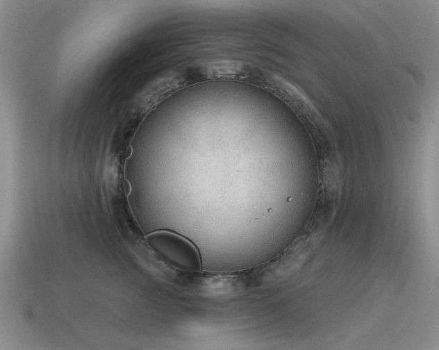 X0000115610761200911101427