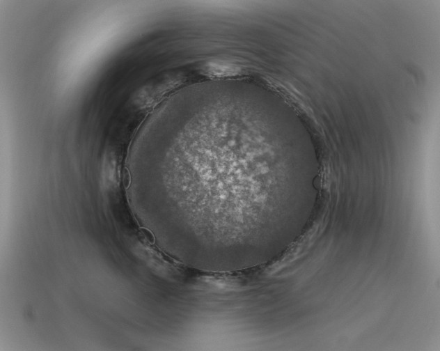 X0000115610763200911101427