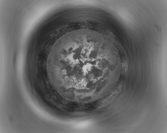 X0000115610765200911101427