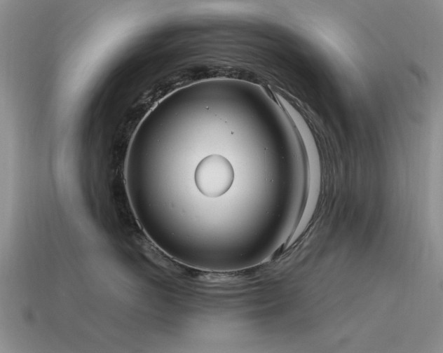 X0000115610766200911101427