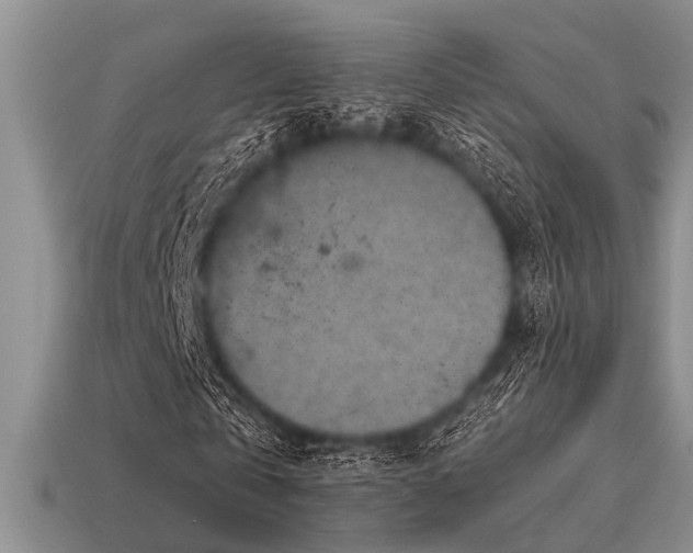 X0000115610769200911101426