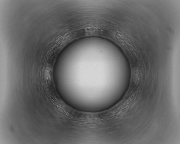 X0000115610770200911101426