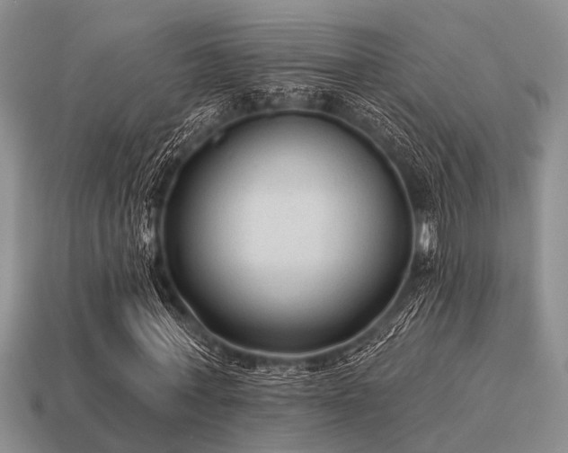 X0000115610771200911101426