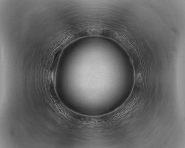 X0000115610772200911101426