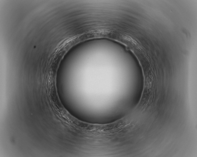 X0000115610773200911101426