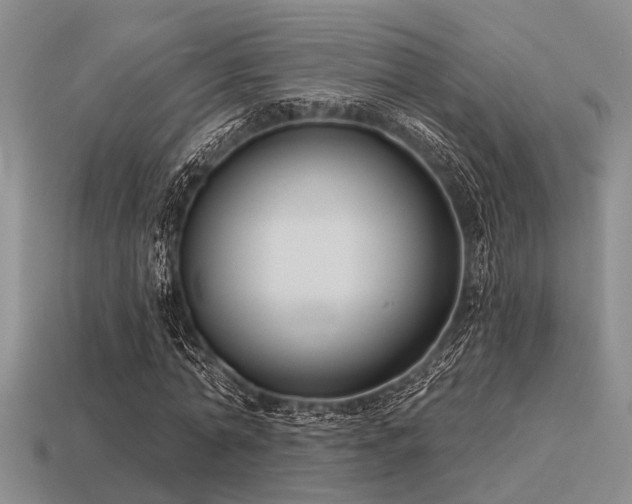 X0000115610774200911101426