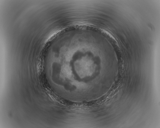 X0000115610775200911101426