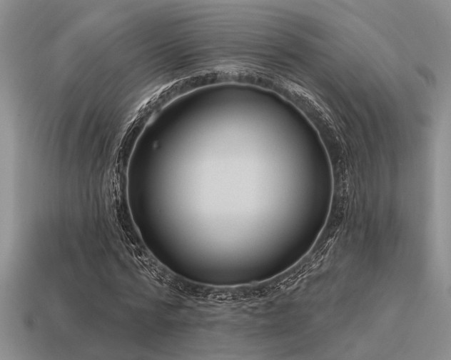 X0000115610776200911101426