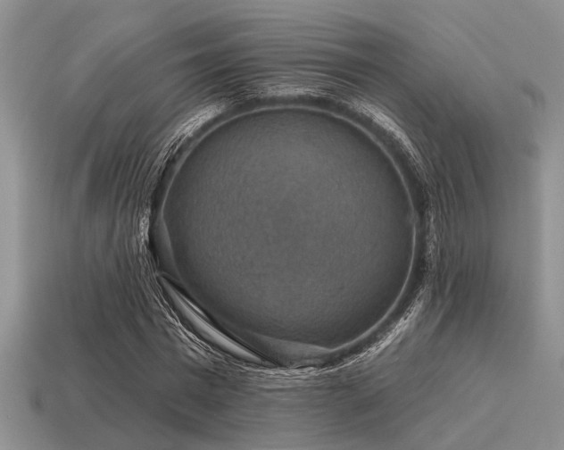 X0000115610777200911101426