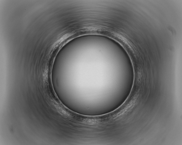 X0000115610778200911101426