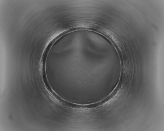 X0000115610779200911101426