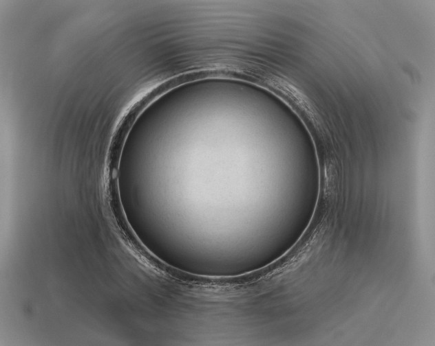 X0000115610780200911101426