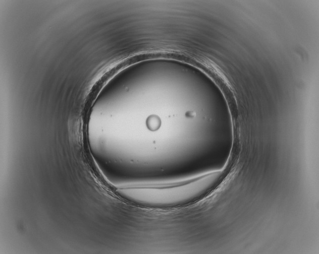 X0000115610781200911101426