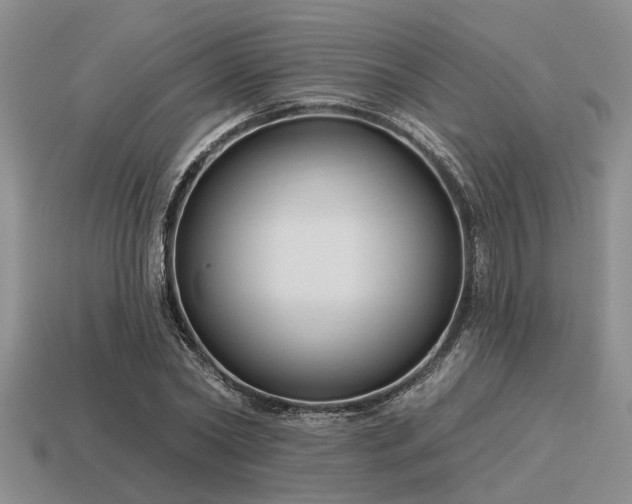 X0000115610782200911101426