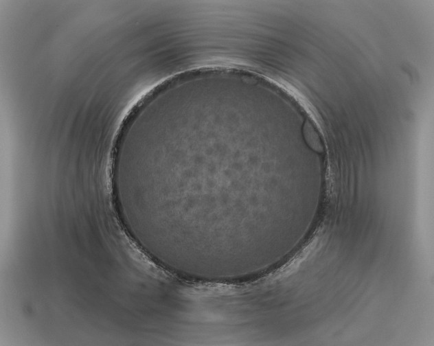 X0000115610783200911101426