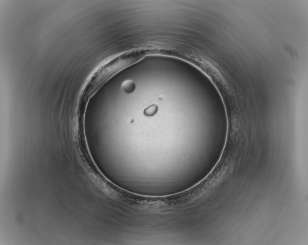 X0000115610784200911101426