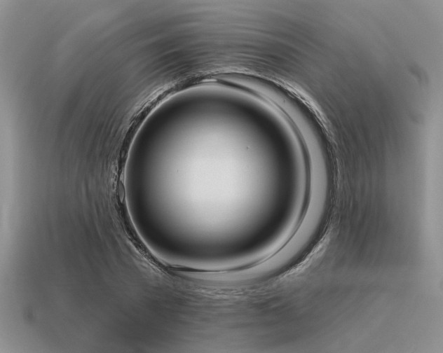 X0000115610785200911101426