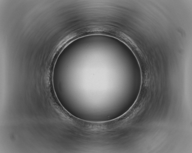 X0000115610786200911101426