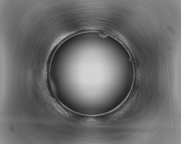 X0000115610787200911101426