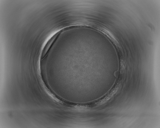 X0000115610788200911101426