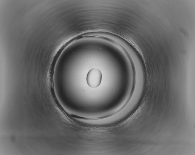 X0000115610789200911101426