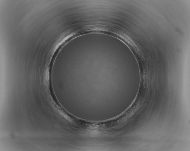 X0000115610790200911101426