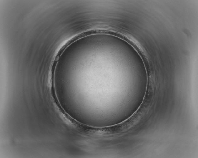 X0000115610791200911101426