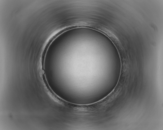 X0000115610792200911101426