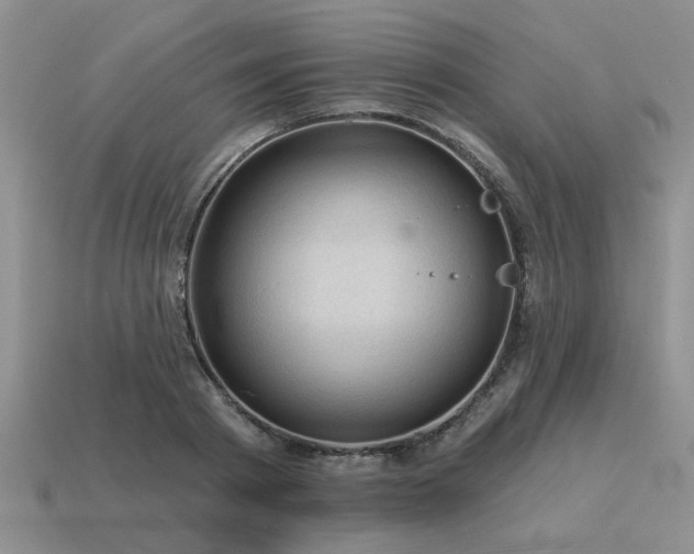 X0000115610793200911101426