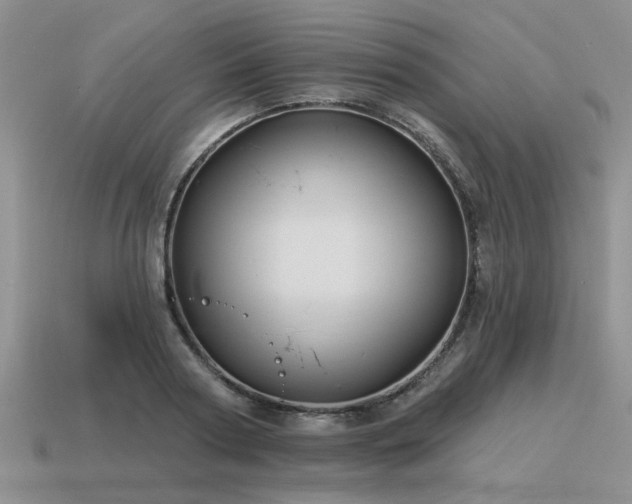 X0000115610794200911101426