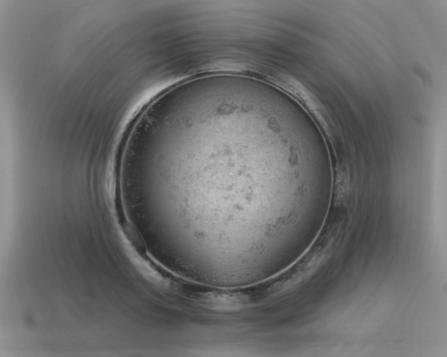 X0000115610795200911101426