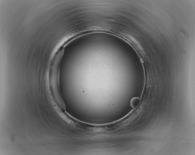 X0000115610796200911101426