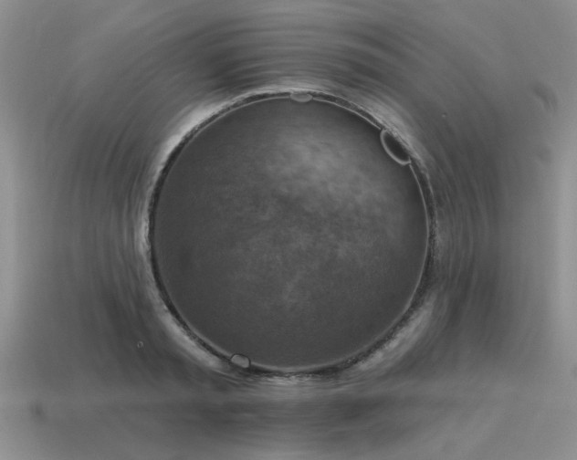 X0000115610797200911101426