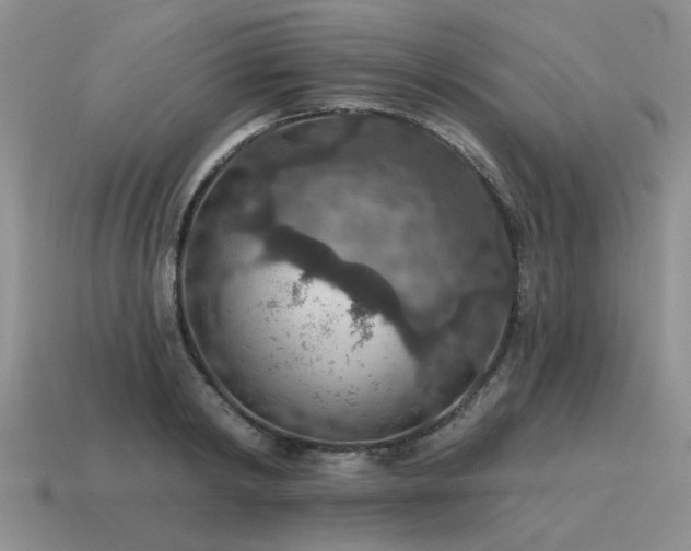 X0000115610798200911101426