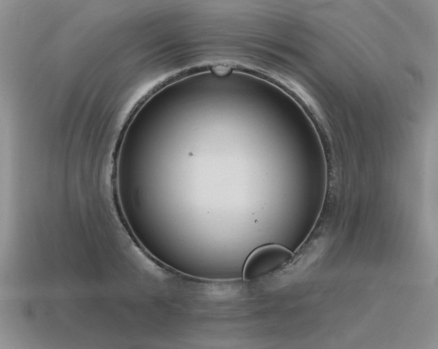 X0000115610799200911101426